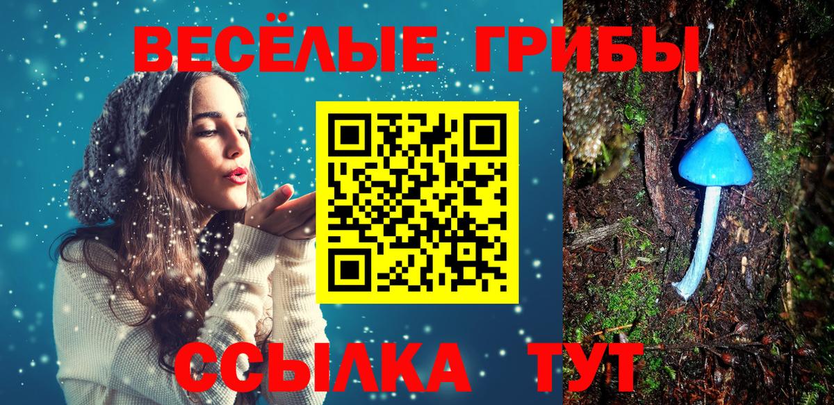 Всеволожск  Галлюциногенные грибы Magic Shrooms  Вход с VPN 